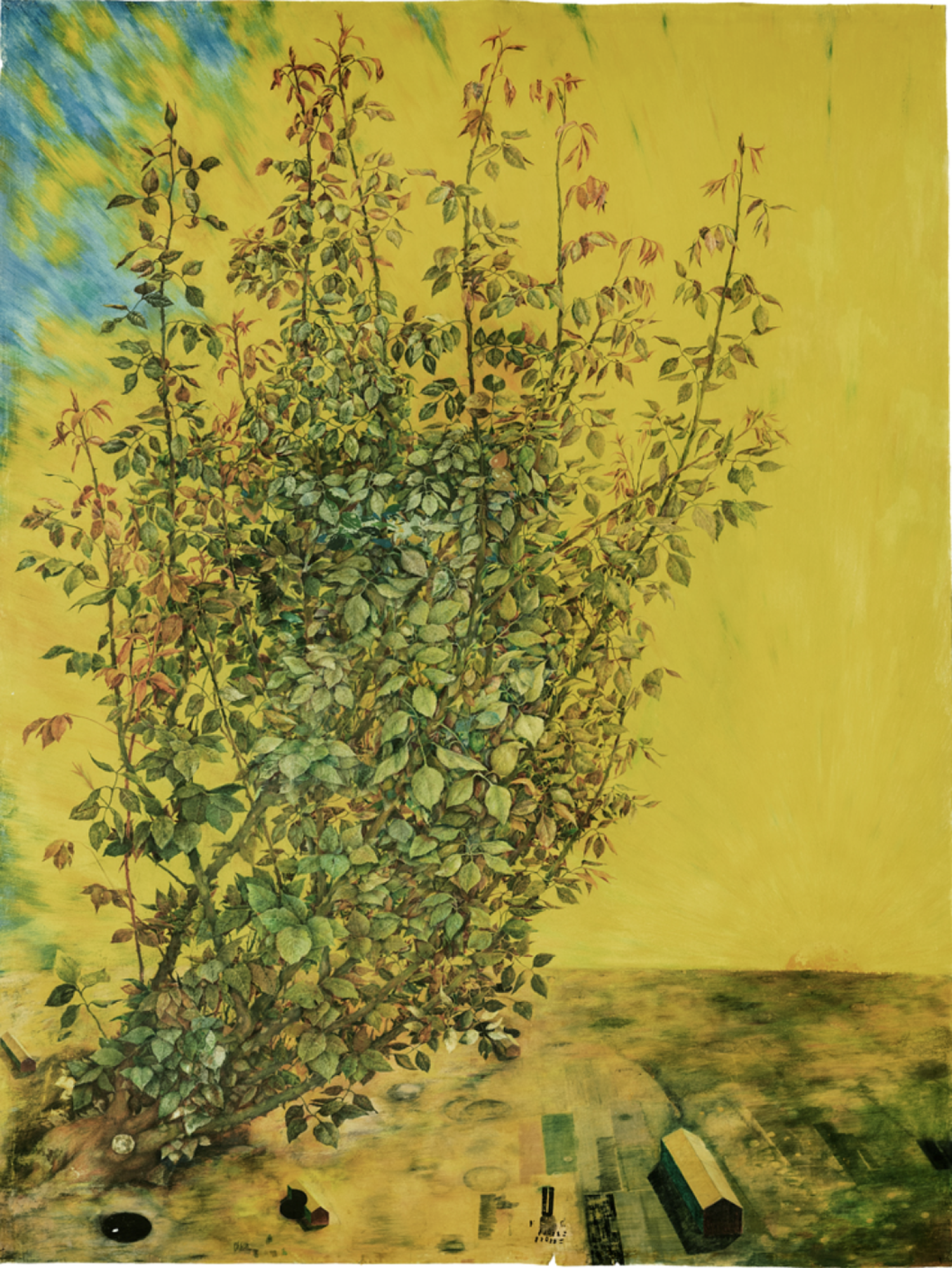 , Сторінки з Абракадабри