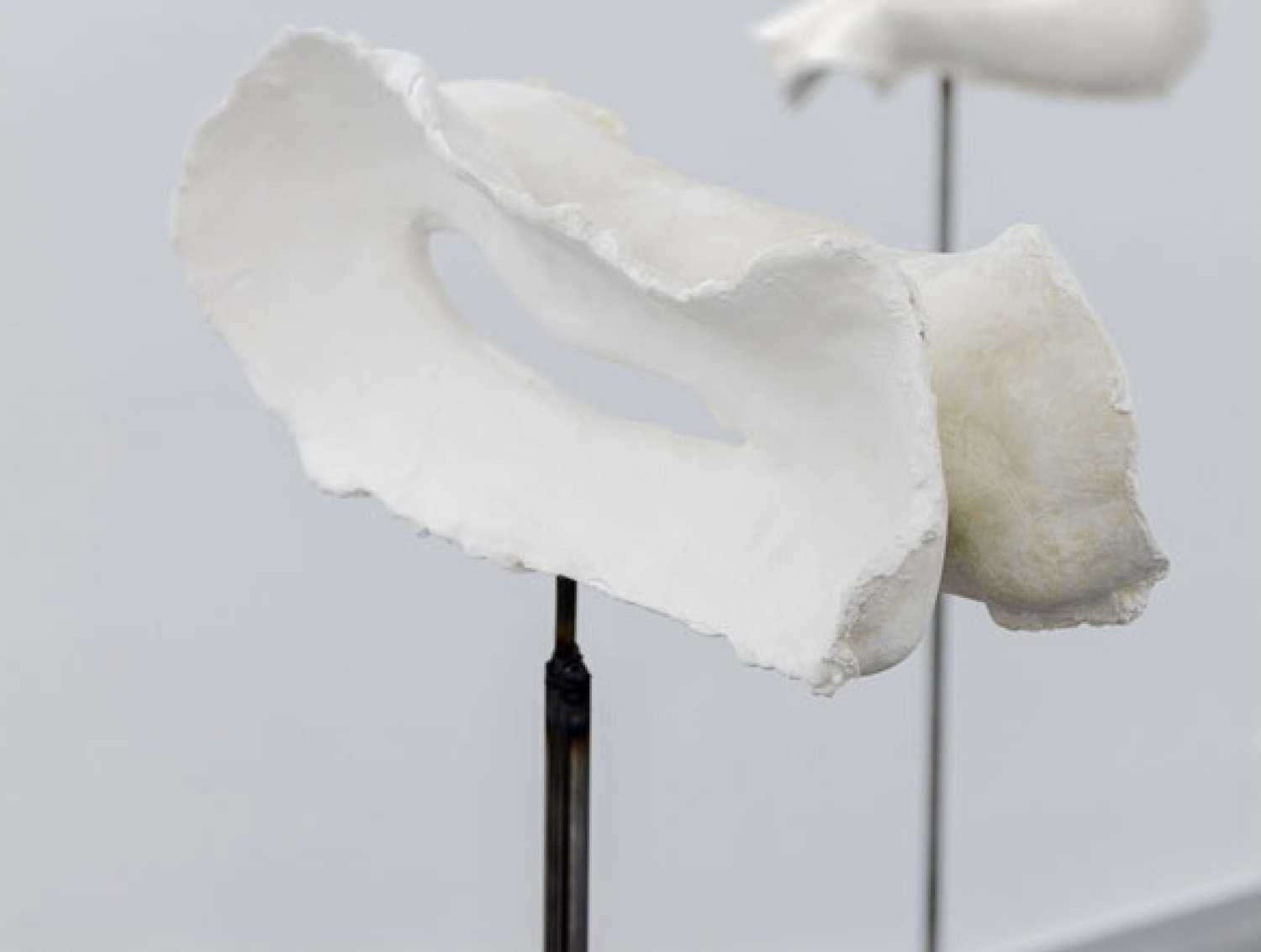 , THE NAKED ROOM @LISTE