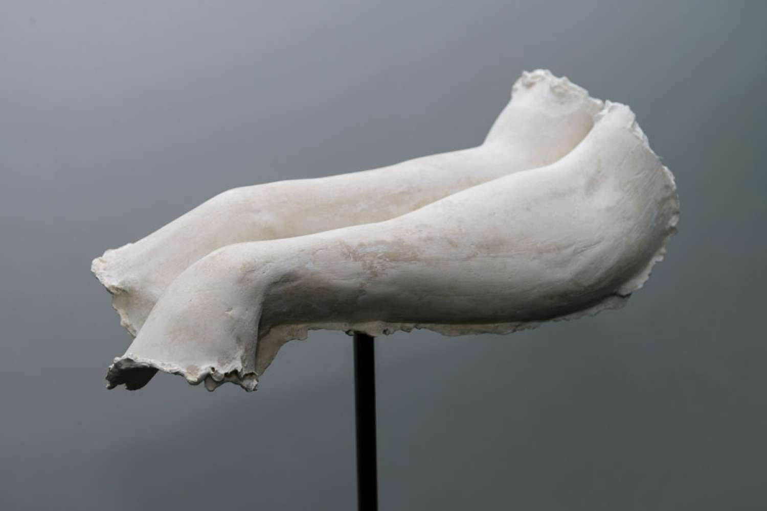 , THE NAKED ROOM @LISTE