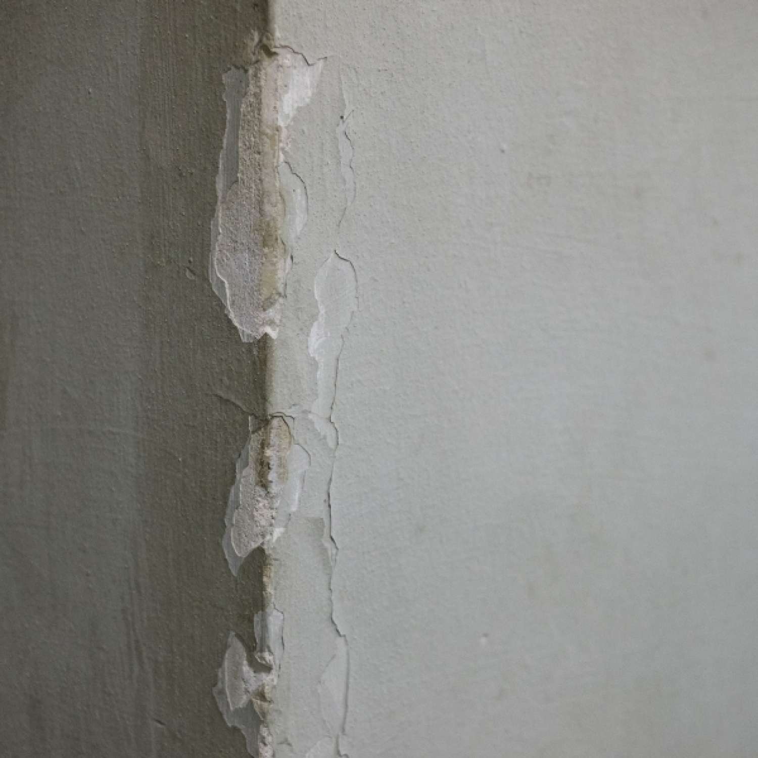 , Warsaw Gallery Weekend