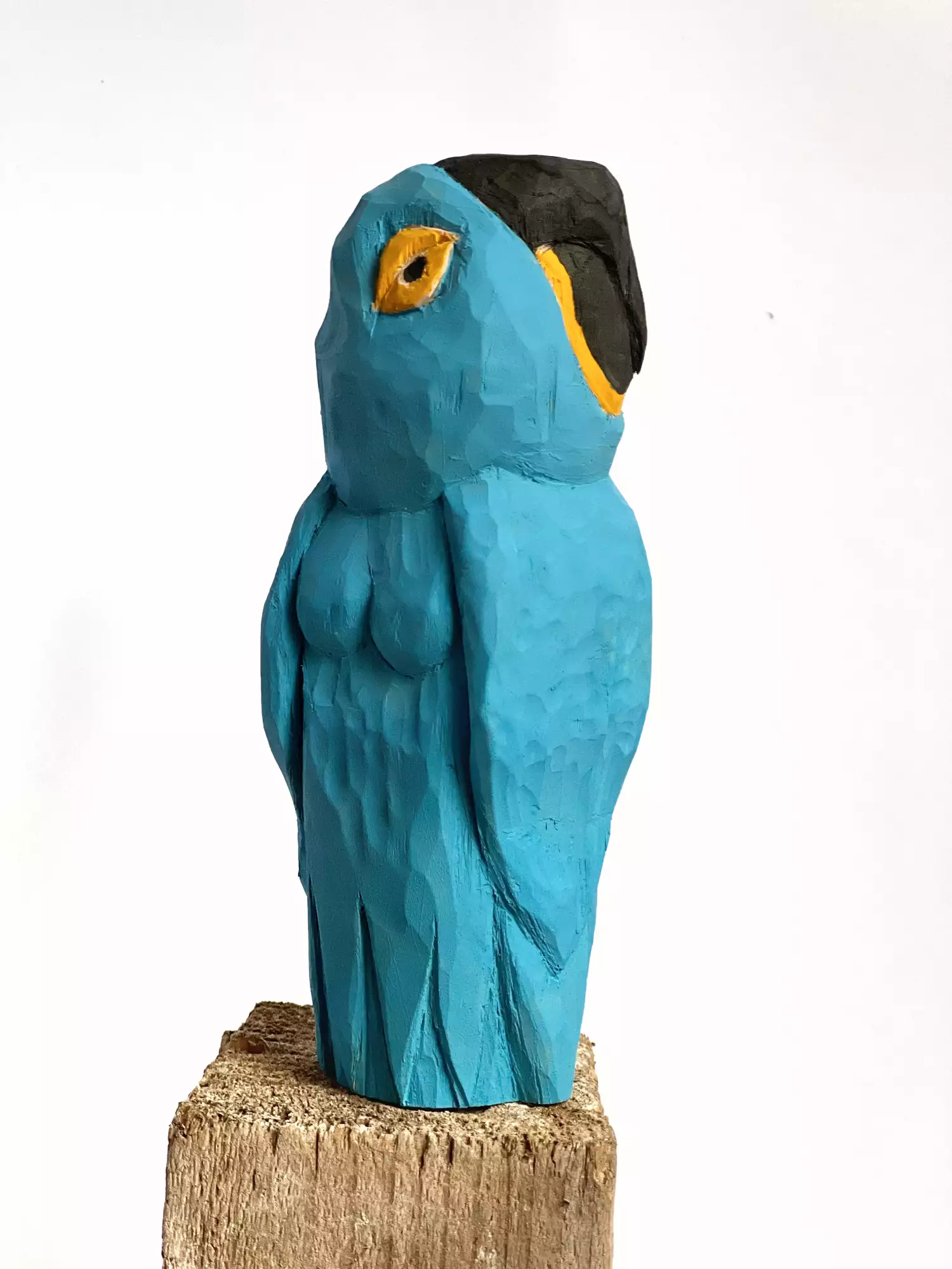 , Magic is all around