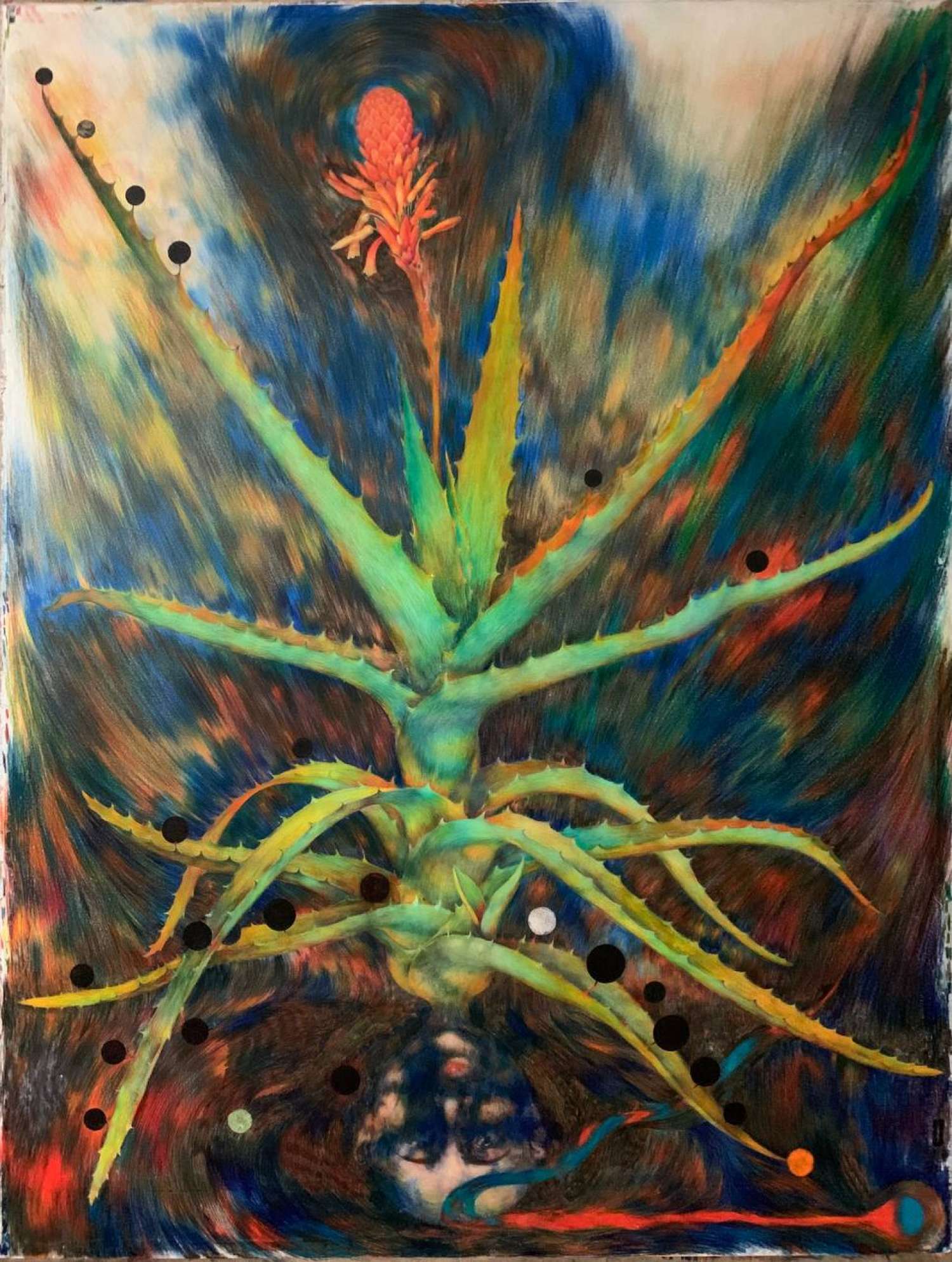 , FAMILY TREE OR BURIED NAMES