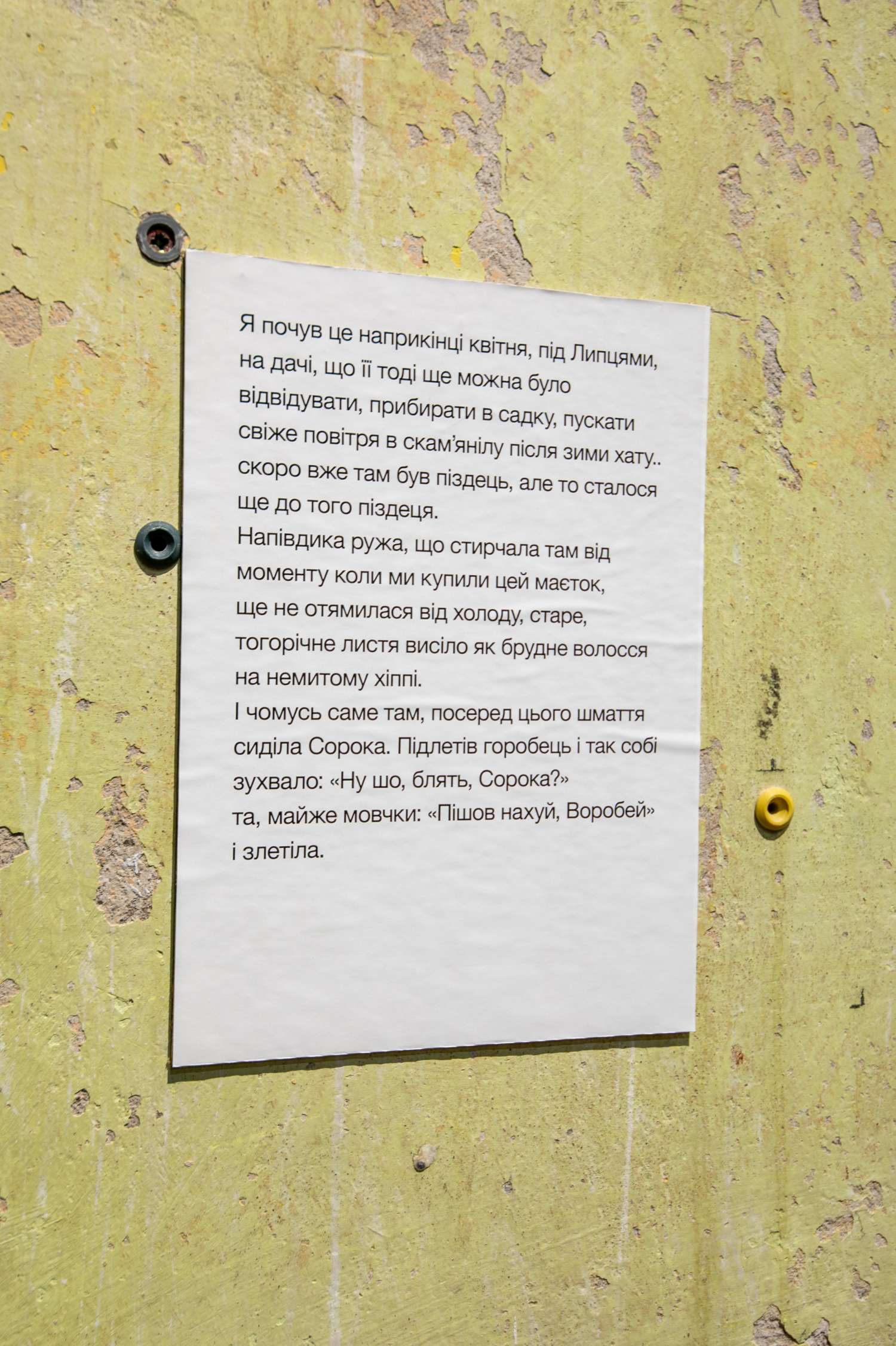 FAMILY TREE OR BURIED NAMES. Photo 6