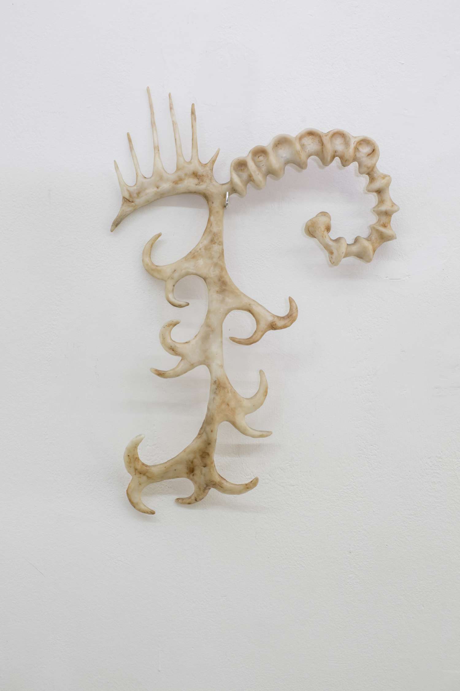 , A HORRIBLE END OR AN ENDLESS HORROR?