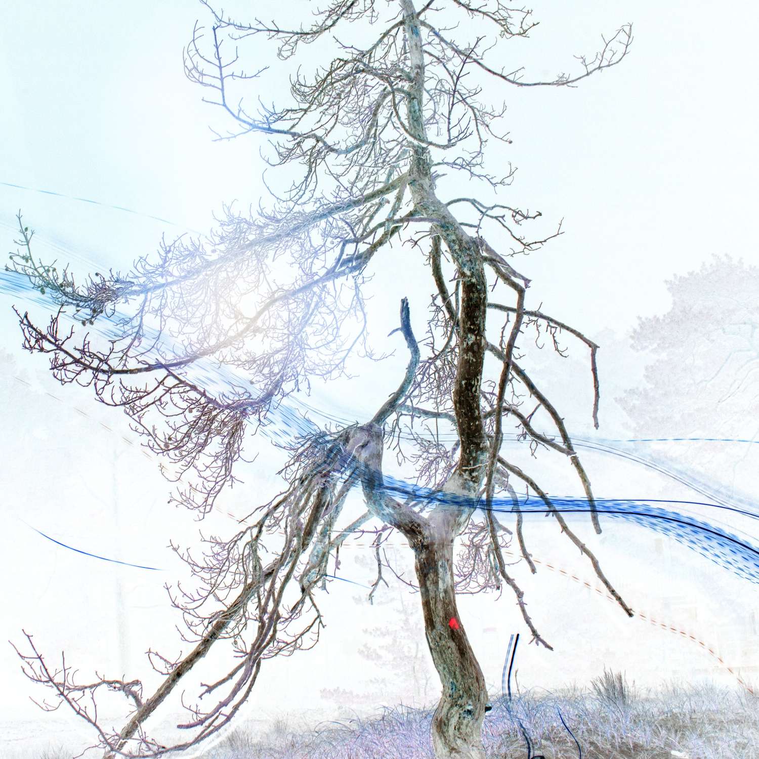 , POP-UP SHOW BY ELENA SUBACH + VIKTORIIA VITRENKO’S VINYL ALBUM PRESENTATION