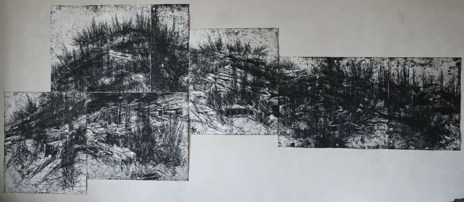 , Тарас Ковач