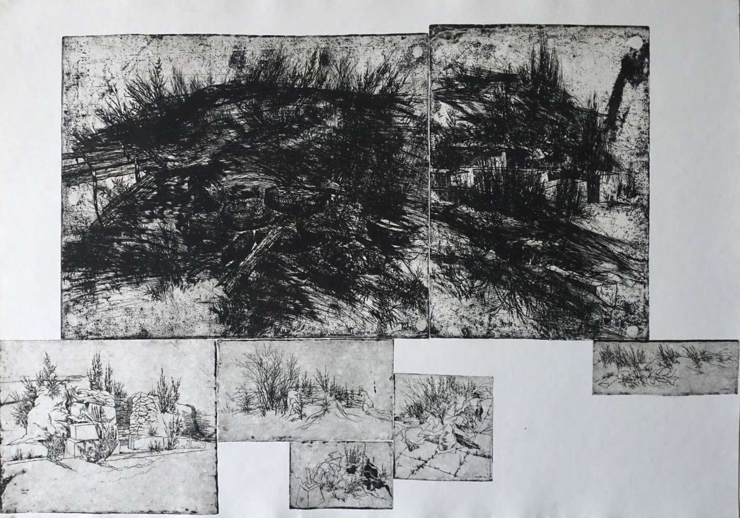 , Тарас Ковач