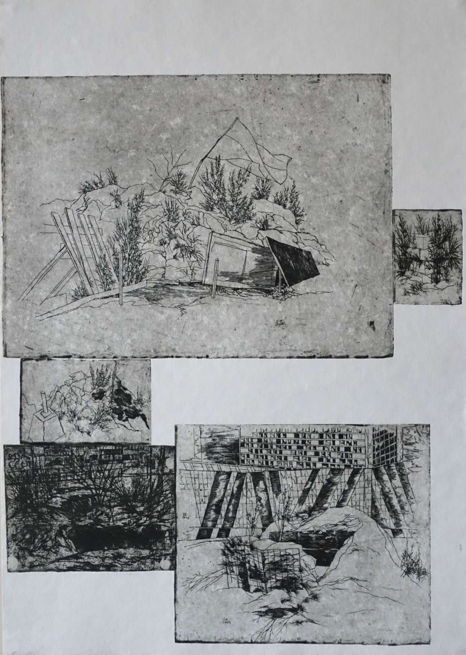 , Тарас Ковач