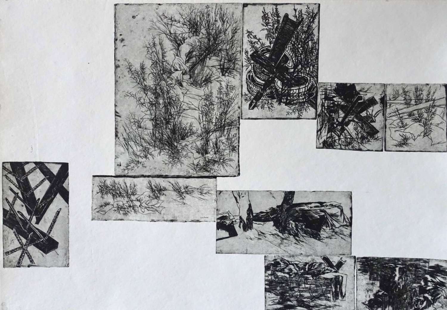 , Тарас Ковач