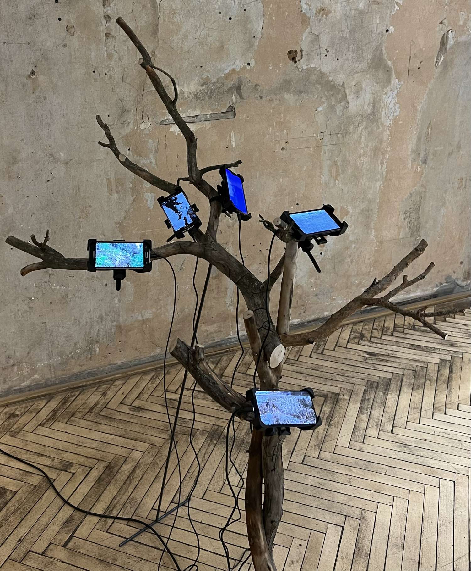 , Тарас Ковач