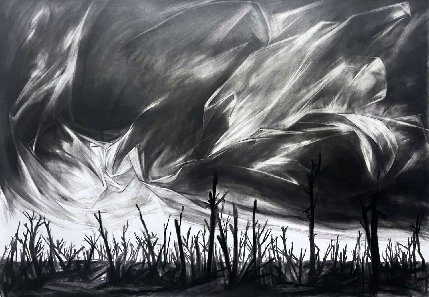 , Exercises in the Rear