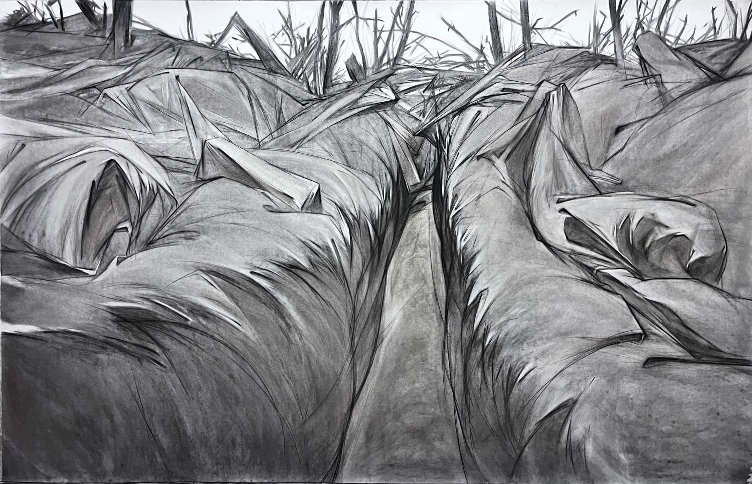 , Exercises in the Rear