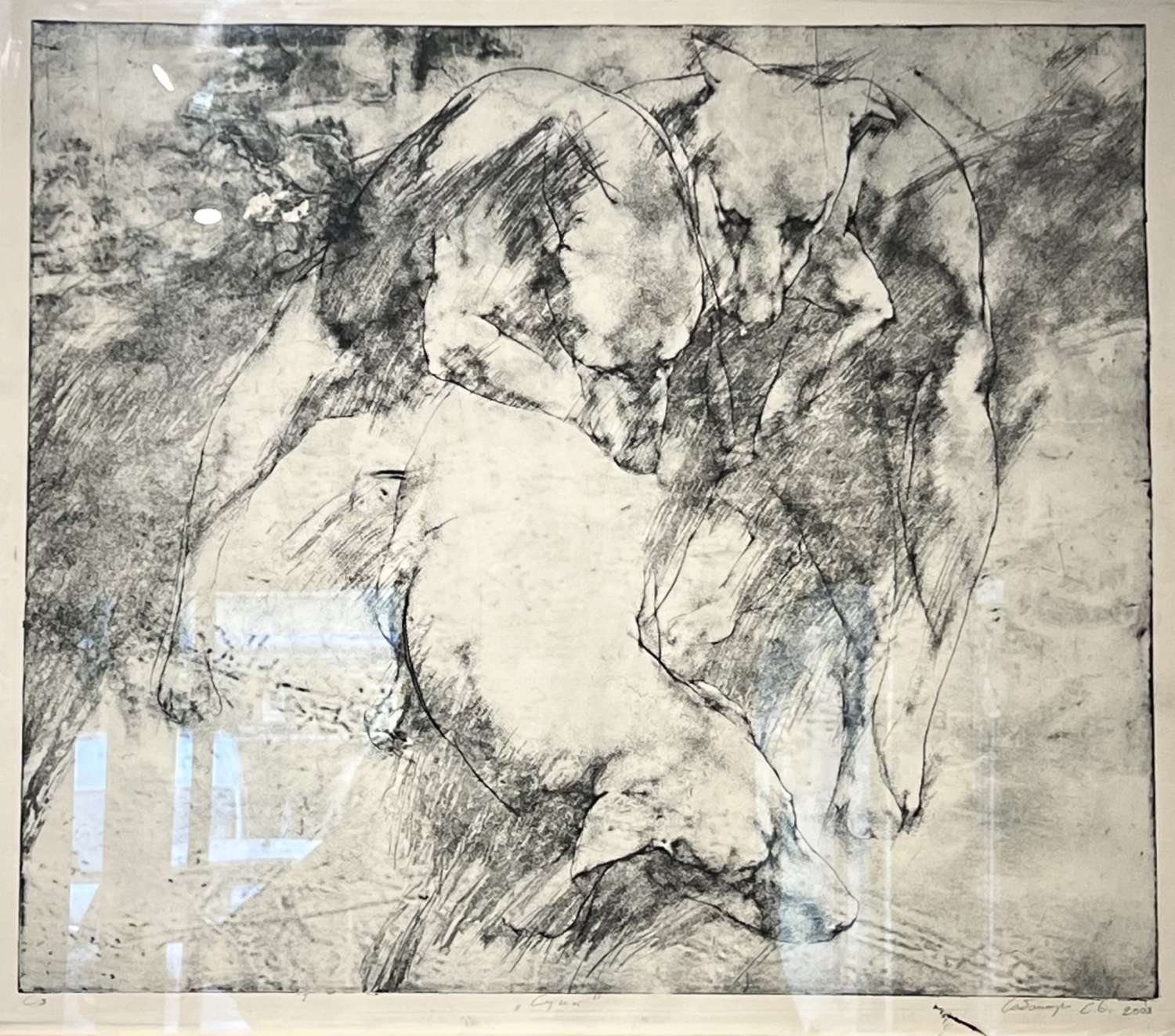 , Exercises in the Rear