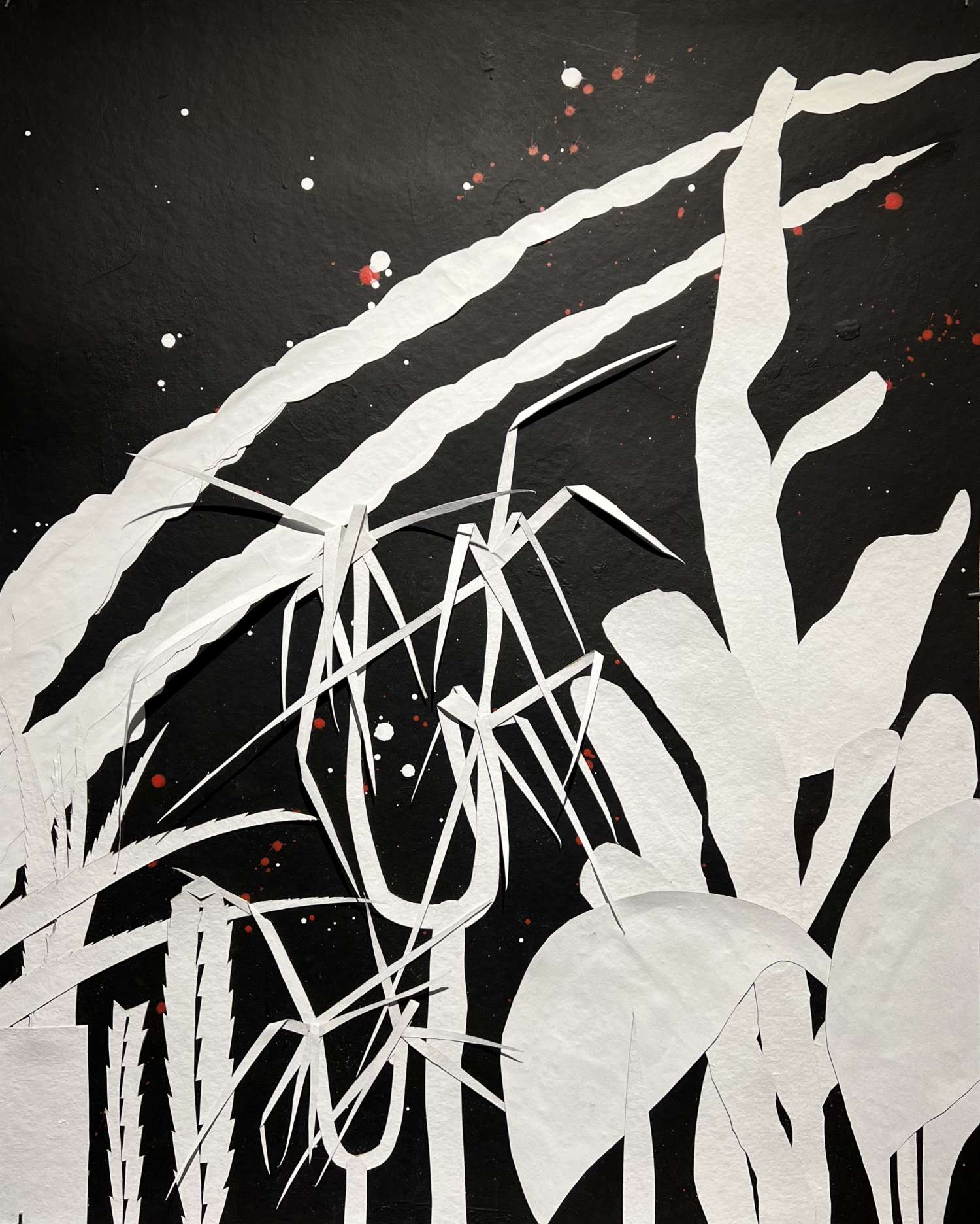 , Volodymyr Kuznetsov