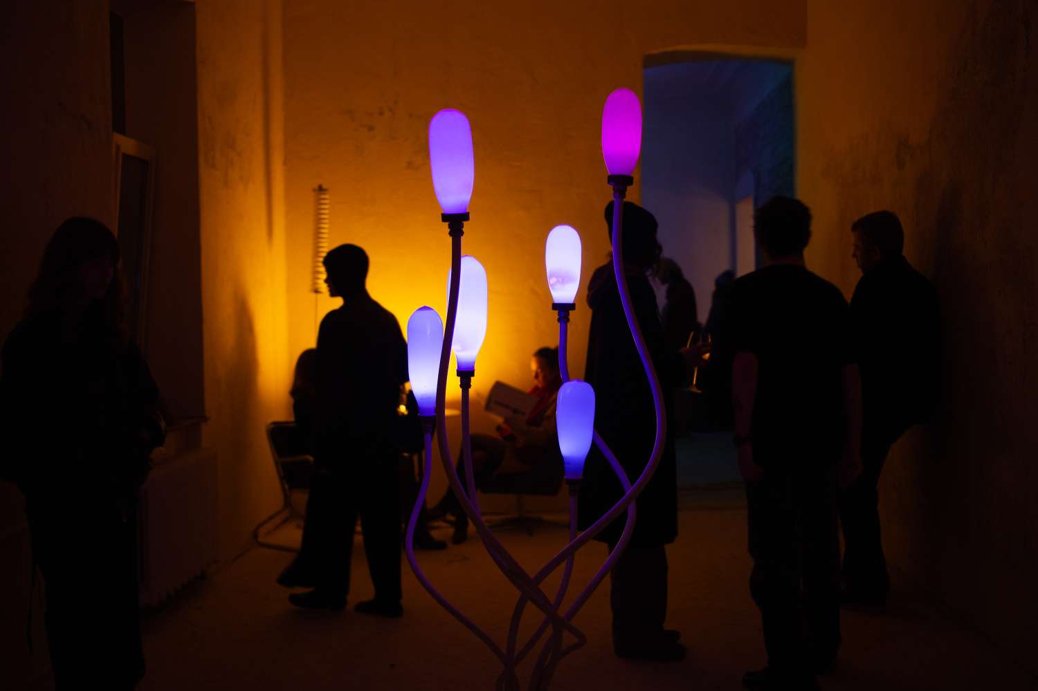 Light Preview. Photo 1